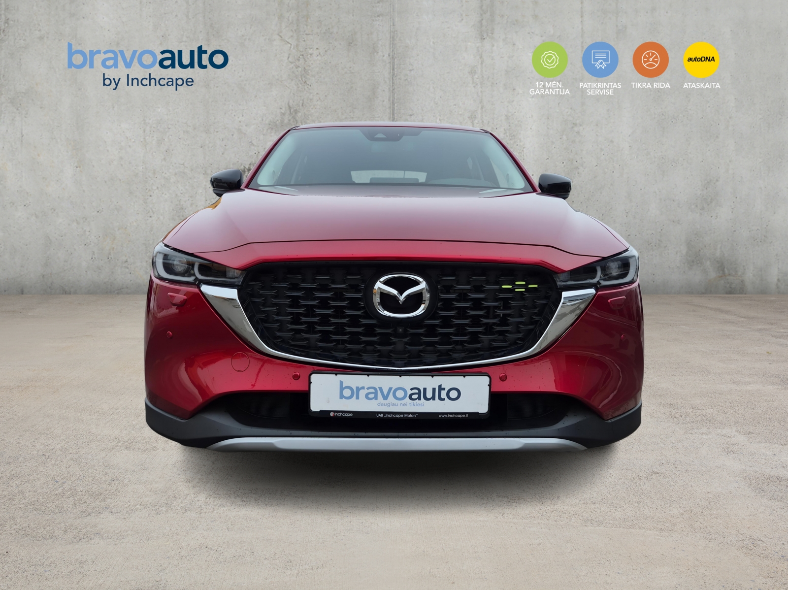 Toyota RAV4 Newground