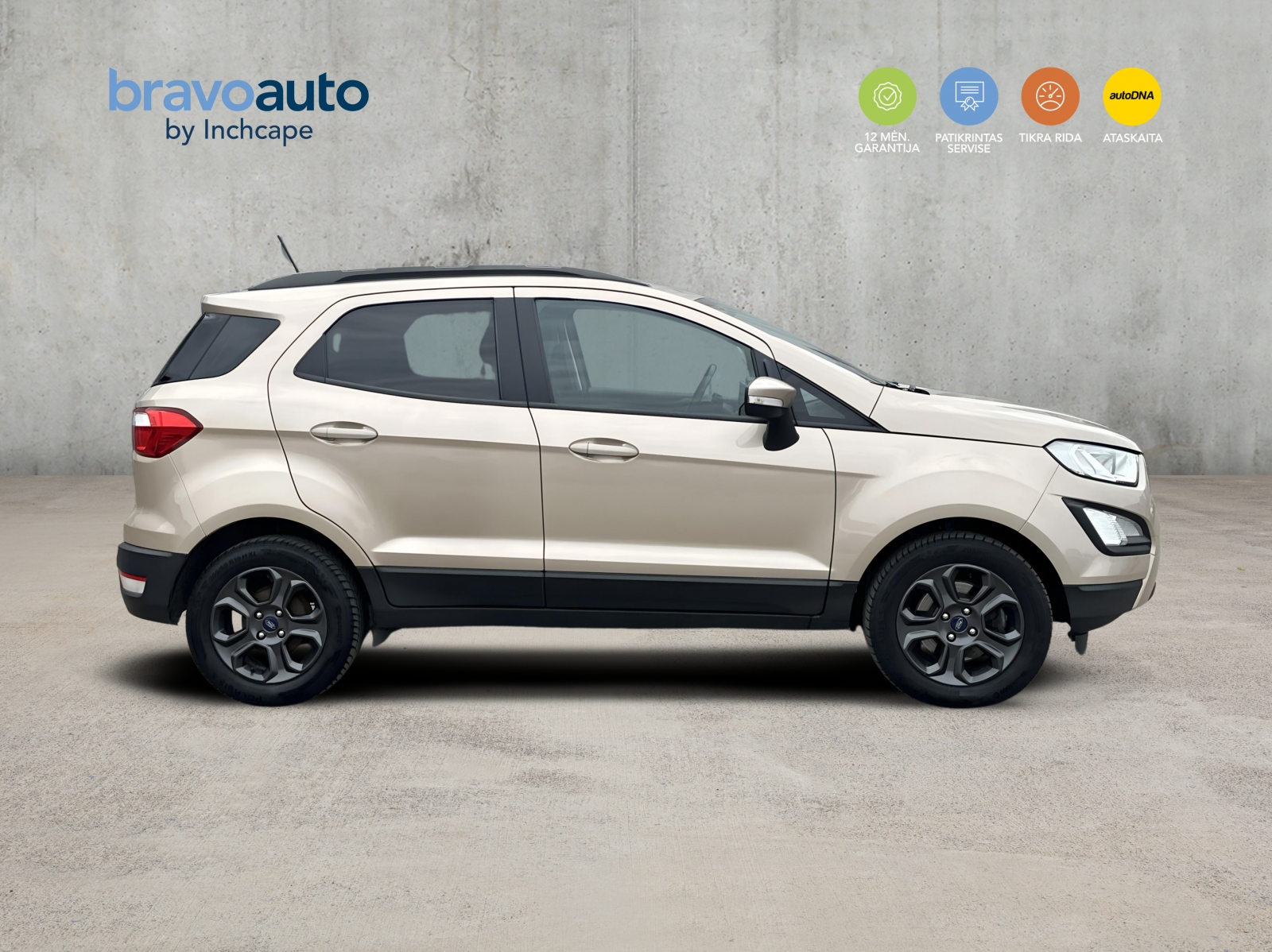Ford EcoSport Business