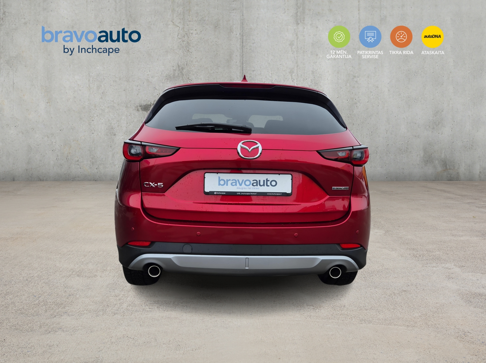 Toyota RAV4 Newground