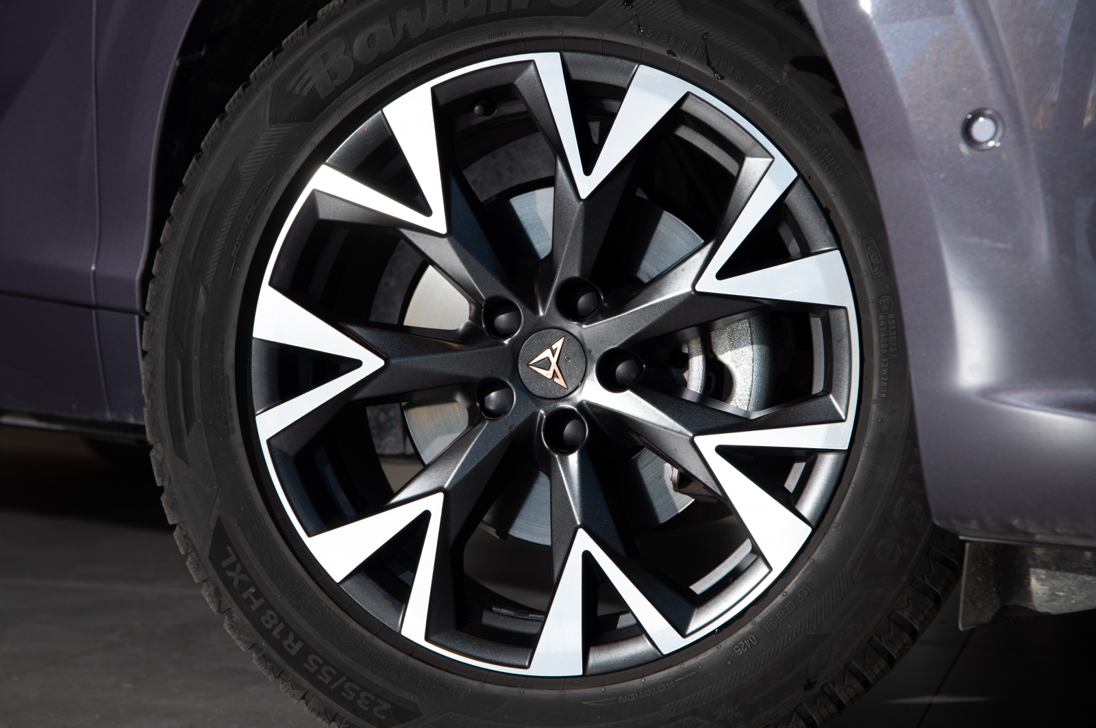 Cupra Terramar Dark Void